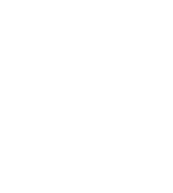 Logo White